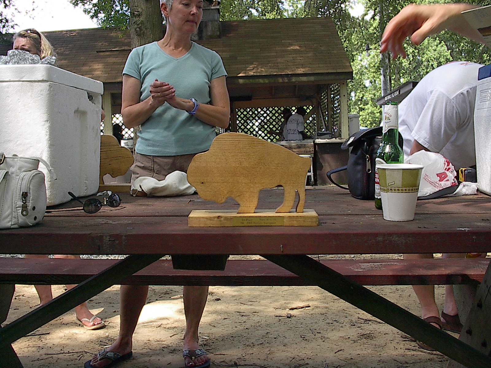 Admire Your Buffalo! Admire Your Buffalo