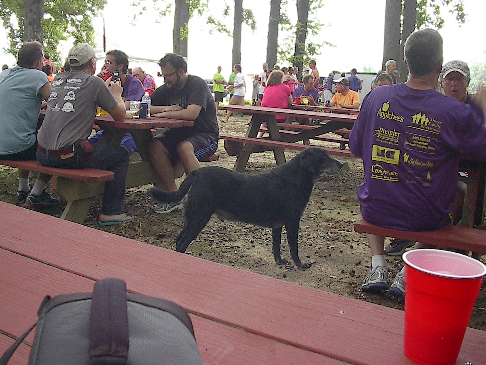 Good Time Doggie Good Time Doggie