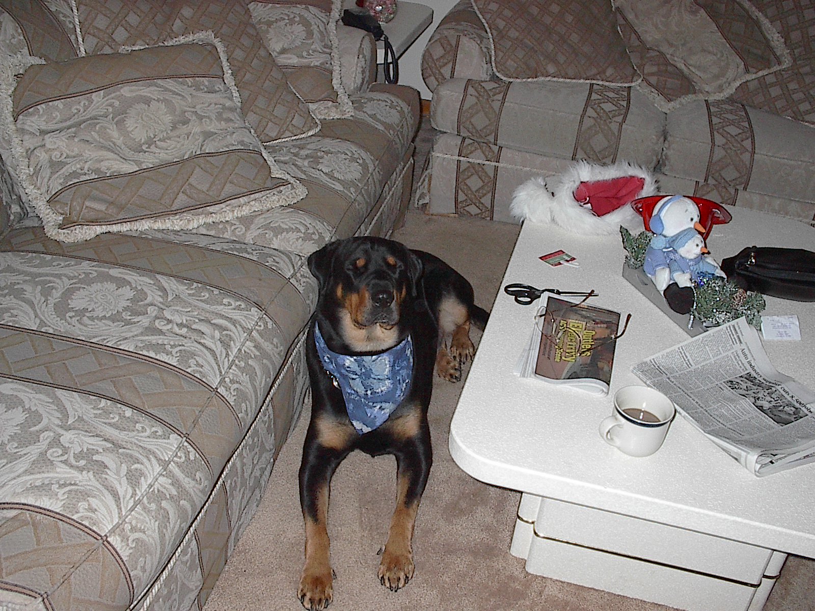 Cooper 2004 Cooper 2004